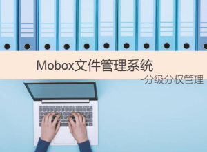 企業(yè)文件管理軟件-實(shí)現(xiàn)分級分權(quán)文檔安全管控